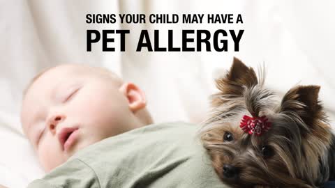 Signs Your Child May Have A Pet Allergy Kids In The House